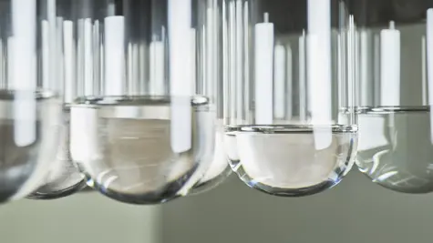 We renew the everyday 