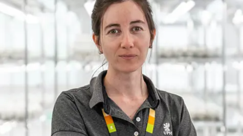 Salient human rights issues